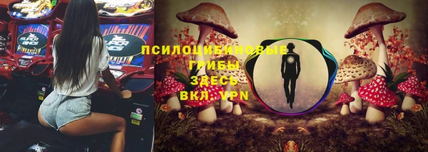стаф Краснослободск