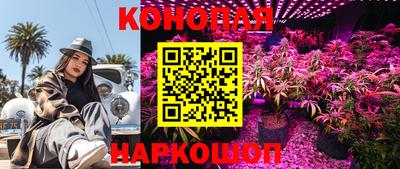 ALPHA-PVP Камышлов