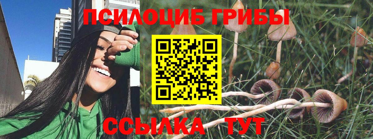 Псилоцибиновые грибы мицелий  Михайловка 