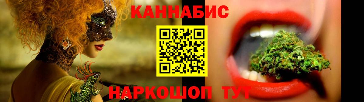 Конопля конопля  Канабис сатива  Михайловка  Бошки Шишки White Widow 